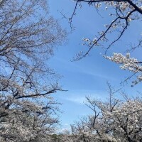 大大大好き