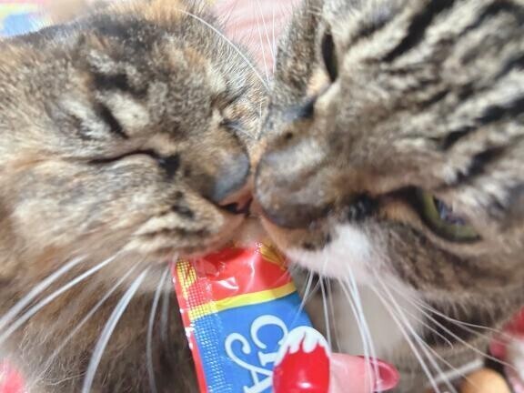 本日23~🈳いてますよ❣️
