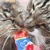 ちえり