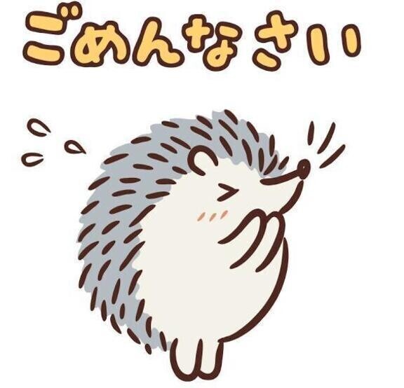 ごめんなさい🙏