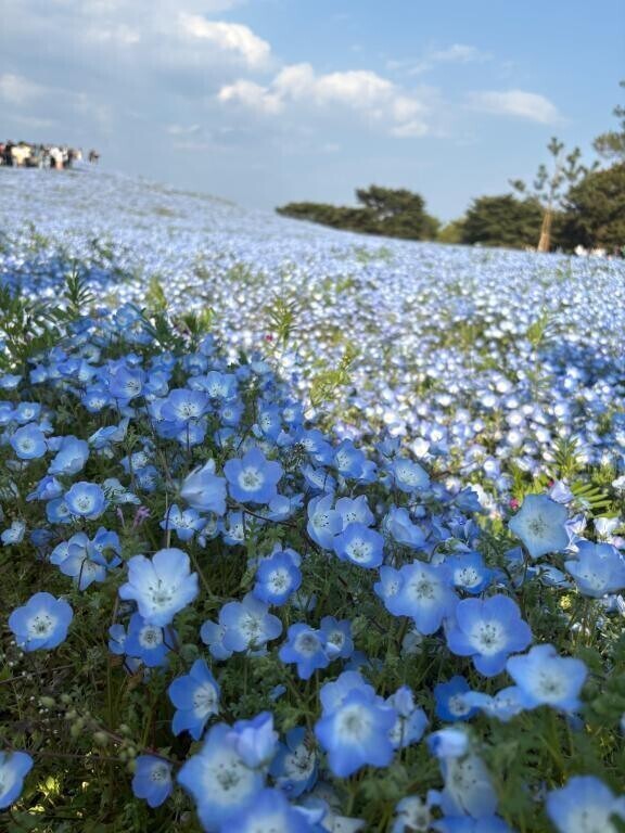 おはよう〜☀️