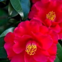 🌞今日も、いいお天気でお出かけ日和だね🌞
