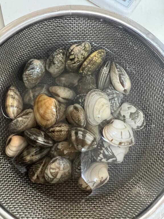 人生初