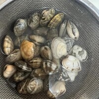 人生初