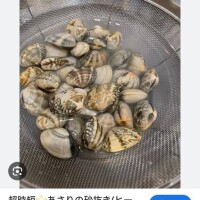天敵