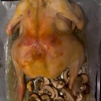 ひなの