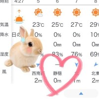 へぇ〜🌟初めて見た〜！！！