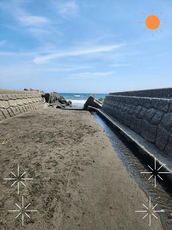 夏は🏖️