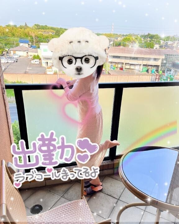 🐈7月初出勤🐈