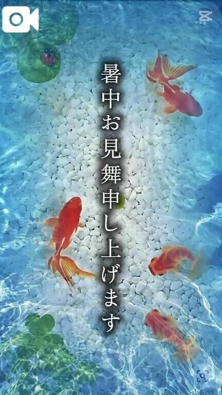 💜暑中お見舞い💜