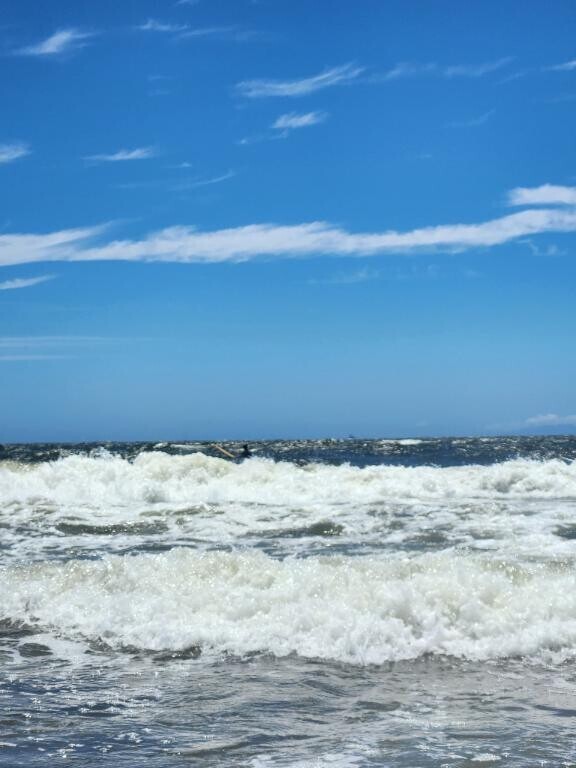 夏🌊