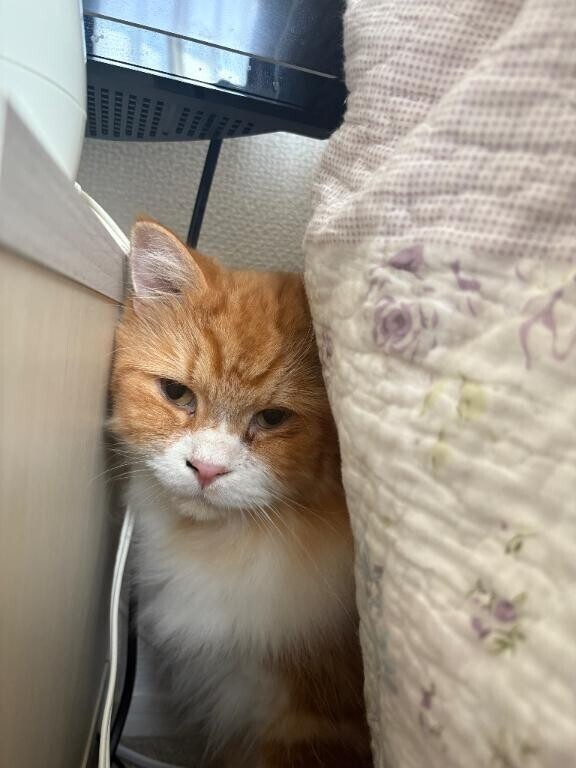 ねっこなの〜🎵