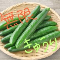 ひなた