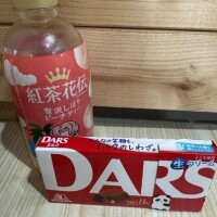 遠いところから😿✨