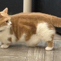 180分からは
