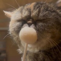 おはよっ！