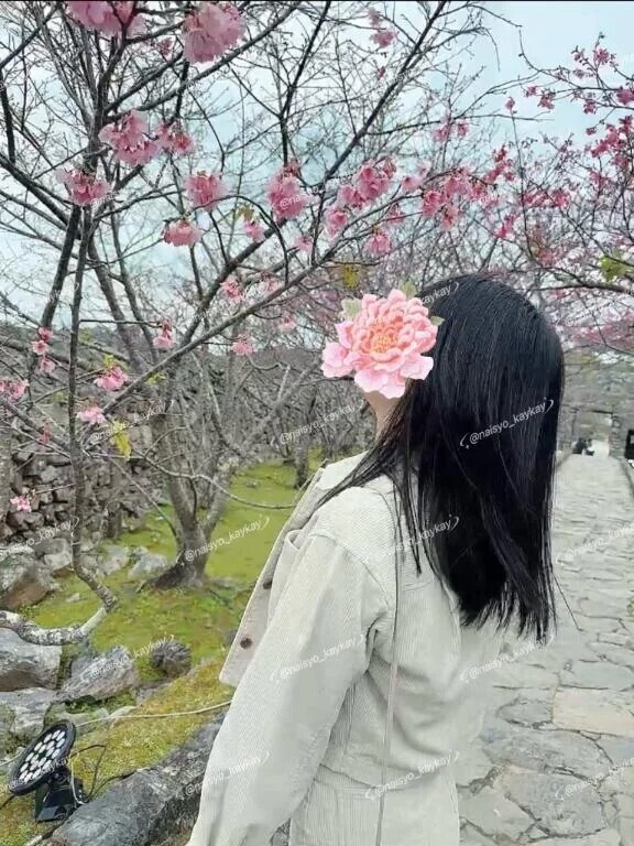 季節の変わり目🌸🌻🍂❄