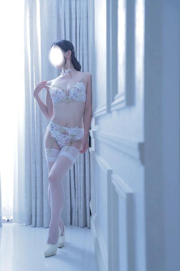 🐈‍⬛🐈🐈‍⬛🐈