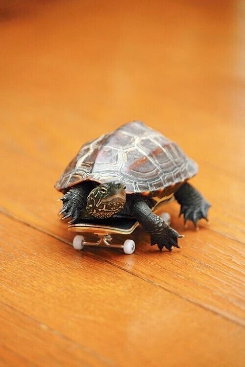 推しヨウム＆お礼日記