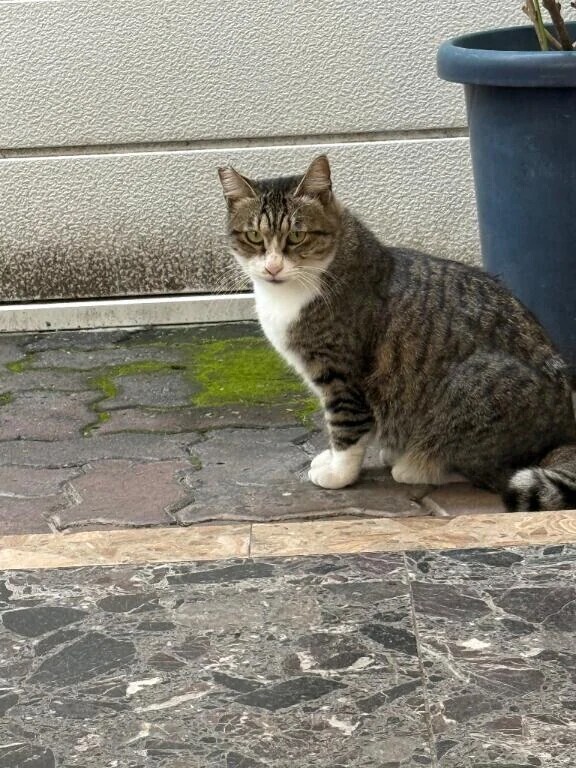 まだまだ可愛い