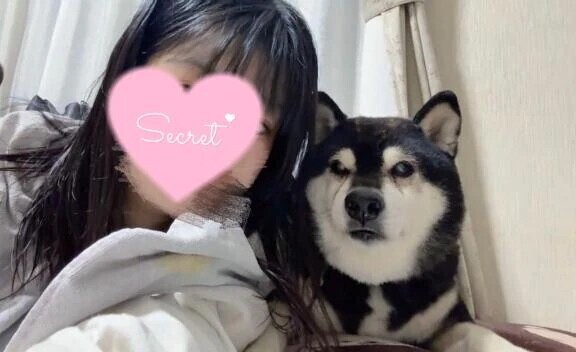 ごめんなさい…😭