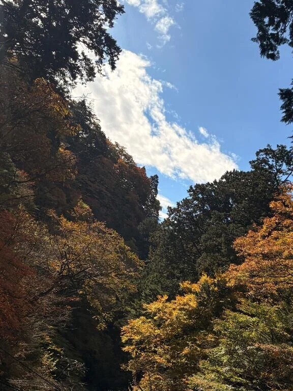 体調が死んでます。。😭