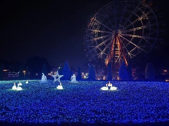 イルミネーション✨