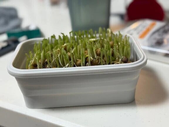 ご褒美😇＆お礼日記