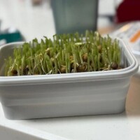 ご褒美😇＆お礼日記