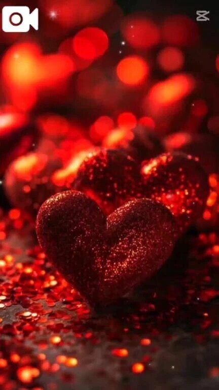 💜先っぽの守り💜