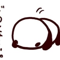 申し訳ないです💦