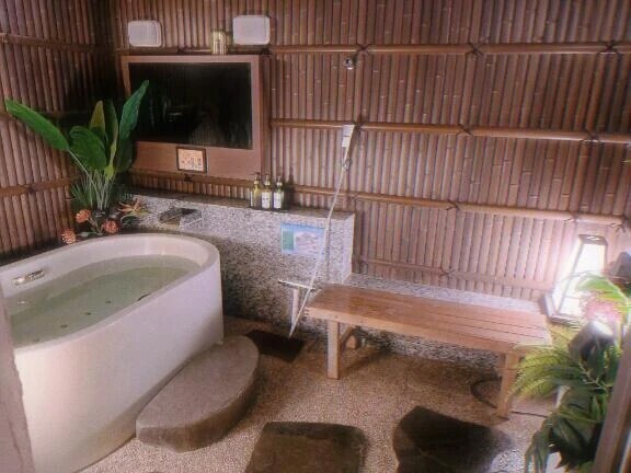 リベンジ(´･ω･`)？