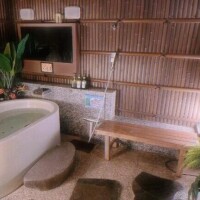 リベンジ(´･ω･`)？