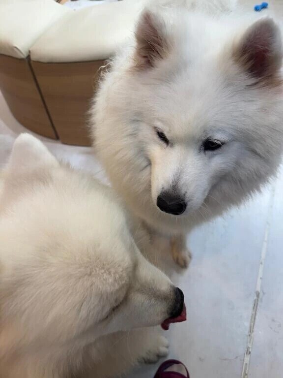 今日も待ってるね🎀