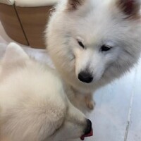 今日も待ってるね🎀