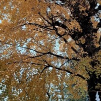 まだまだ楽しめそう😌