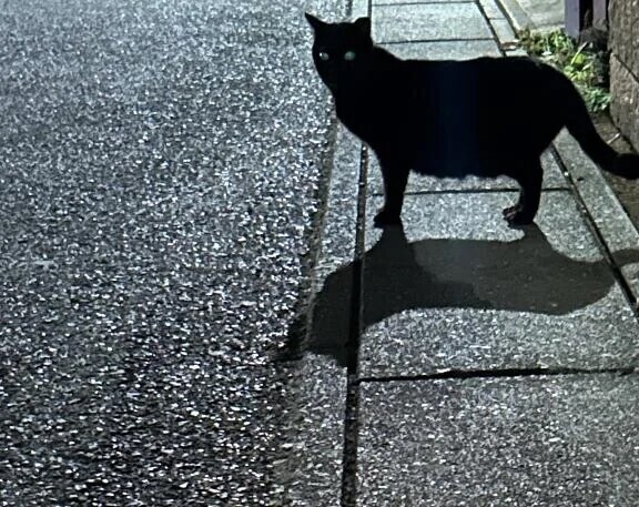 本当に情けない…💦