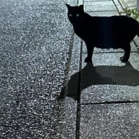 本当に情けない…💦