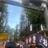 こんにちは(」・ω・)