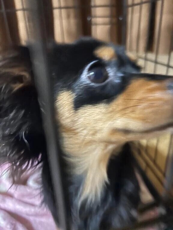 乳こぼれてるー