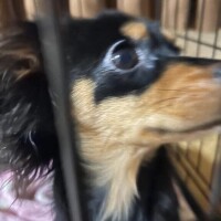 乳こぼれてるー