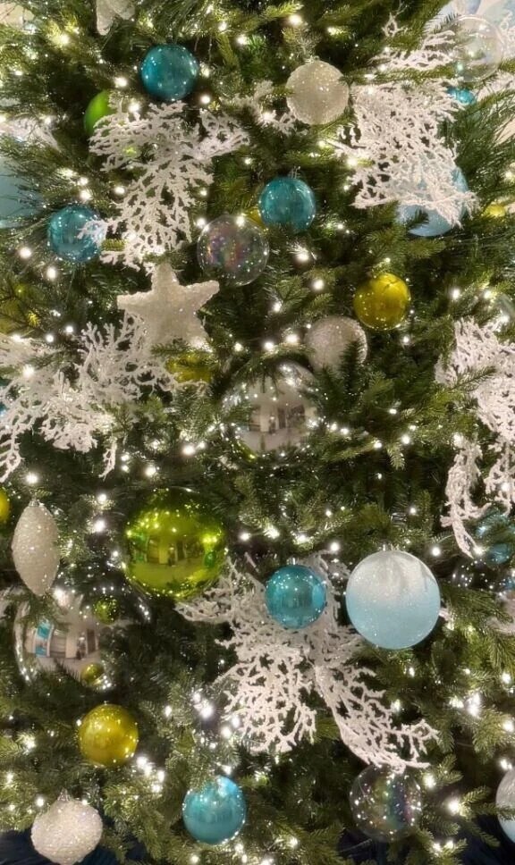 あと1ヶ月後‥🎄