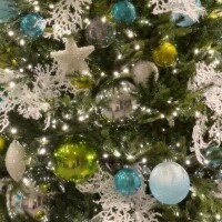 あと1ヶ月後‥🎄