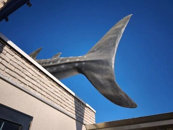 ありがとうございました💕💕