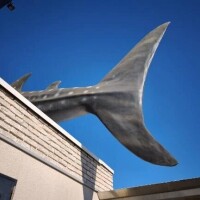 ありがとうございました💕💕