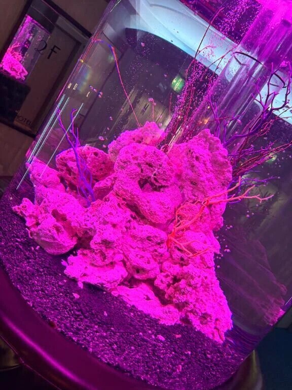 おやすみします😭