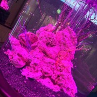 おやすみします😭