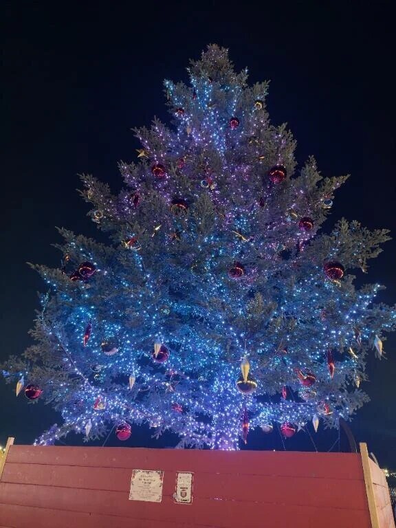 12月スタート🎀