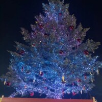 12月スタート🎀