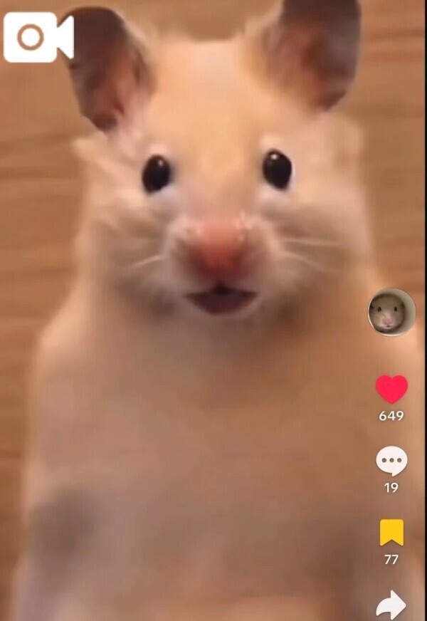 前立🔰初心者様にはこう言う